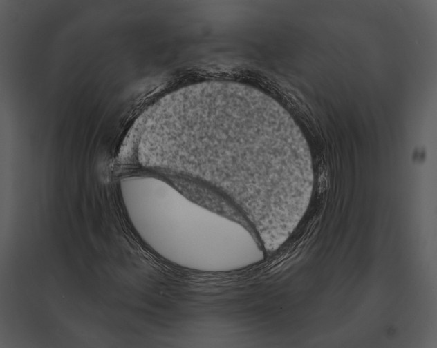 X0000095511156200801041153