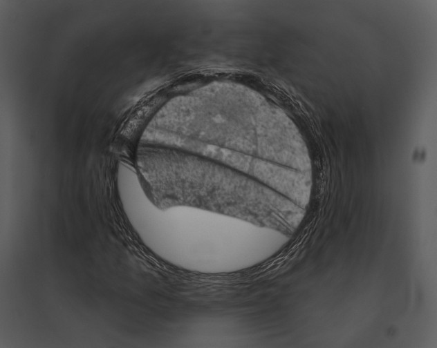 X0000095511157200801041153