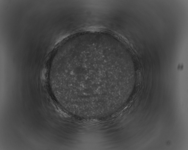 X0000095511158200801041153