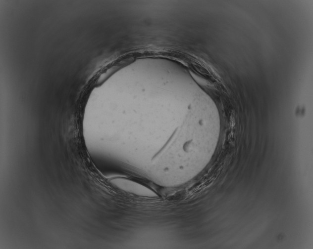 X0000095511160200801041153