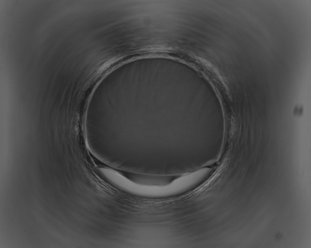 X0000095511161200801041153