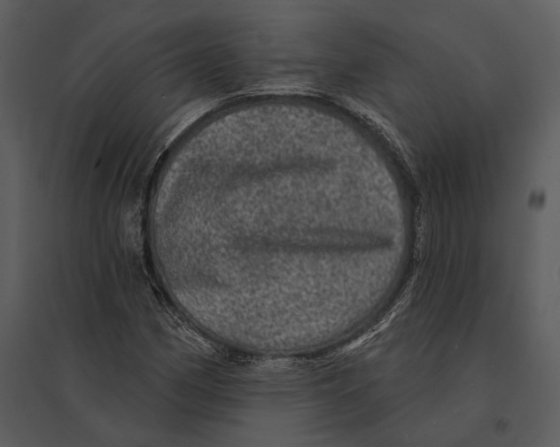 X0000095511162200801041153
