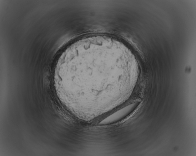 X0000095511163200801041153