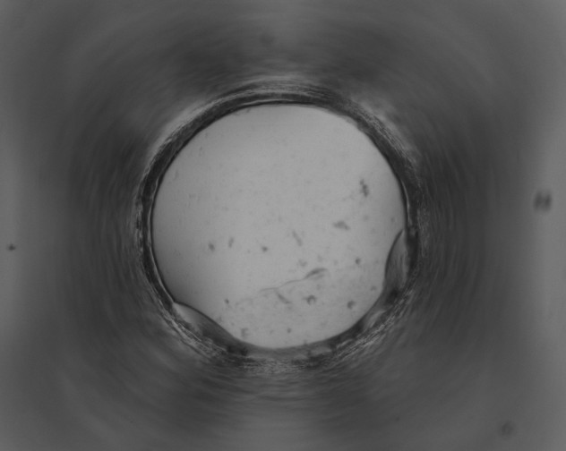 X0000095511164200801041153