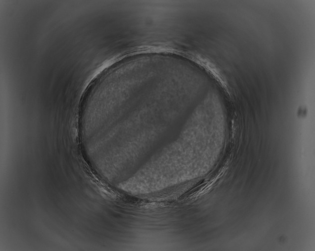 X0000095511165200801041153