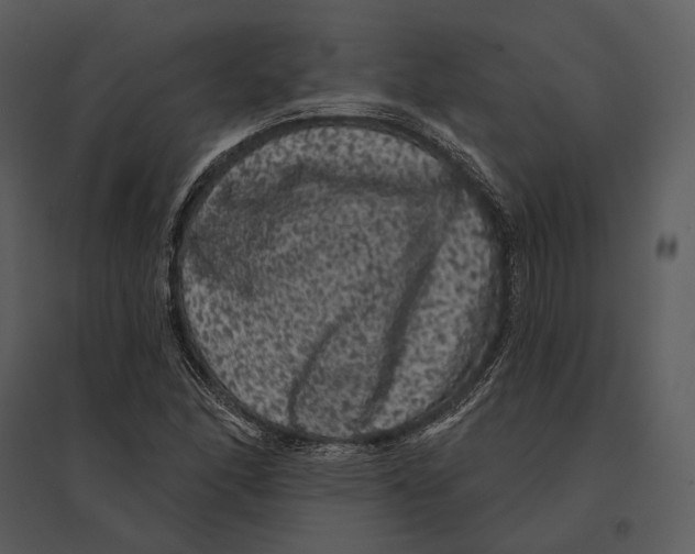 X0000095511166200801041153