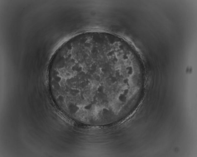X0000095511167200801041153