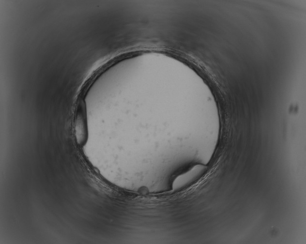 X0000095511168200801041153
