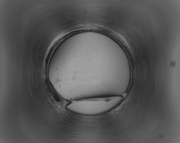 X0000095511172200801041153