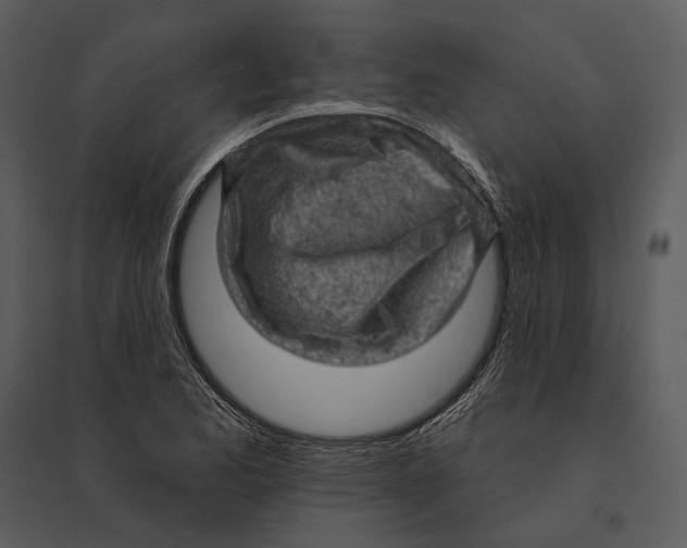 X0000095511173200801041153