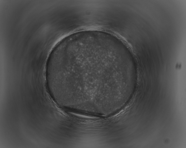 X0000095511174200801041153