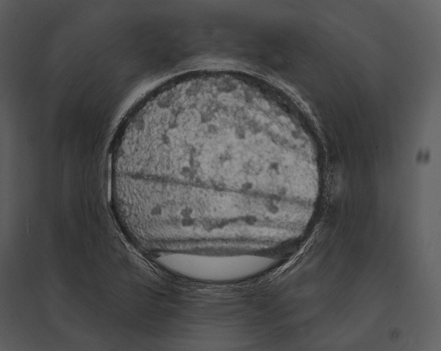 X0000095511175200801041153