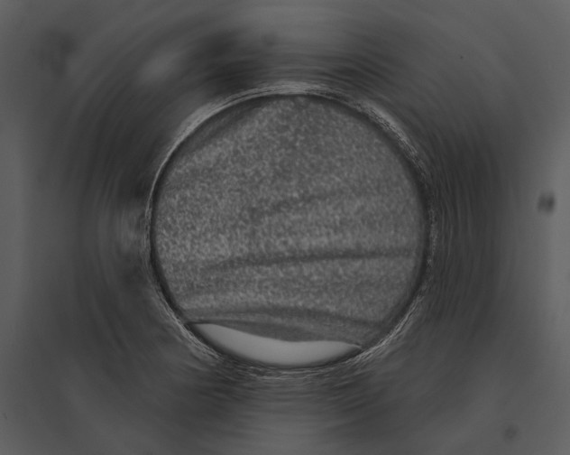 X0000095511178200801041153