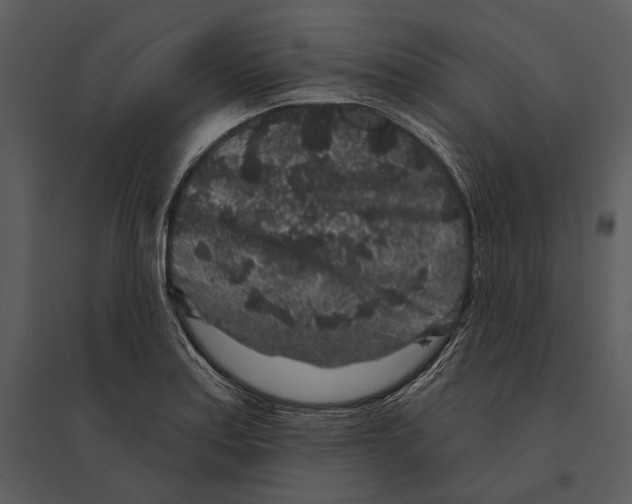 X0000095511179200801041153