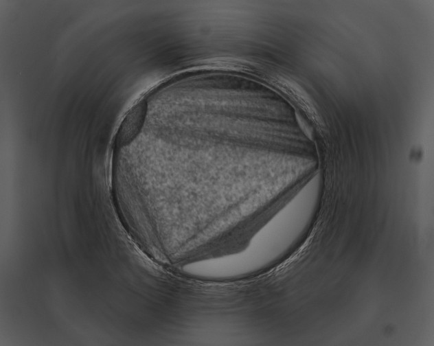 X0000095511180200801041153