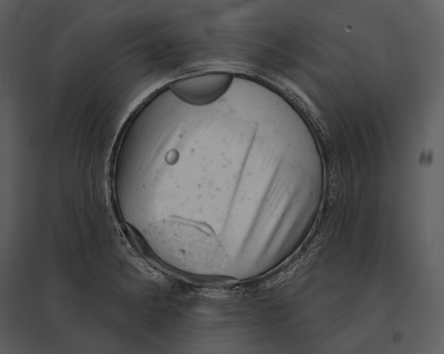 X0000095511182200801041153
