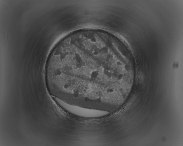 X0000095511183200801041153