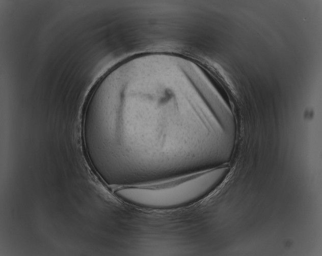 X0000095511184200801041153