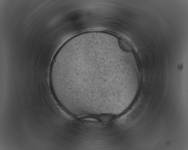 X0000095511186200801041153