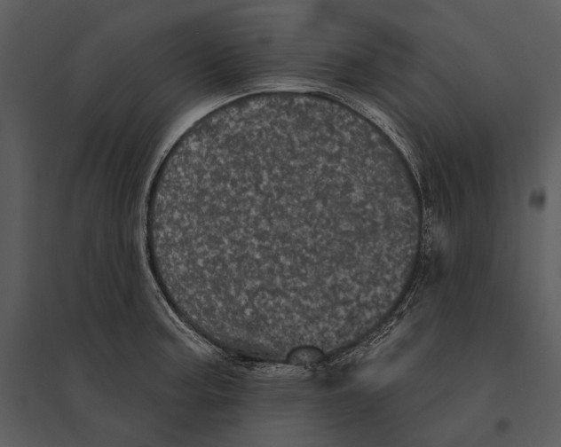 X0000095511187200801041153