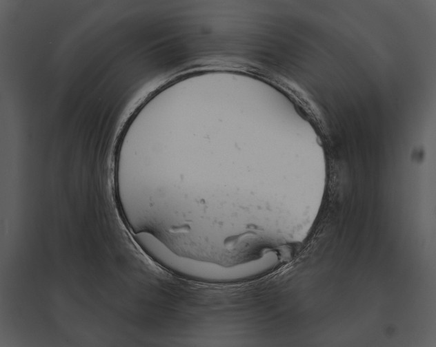 X0000095511188200801041153