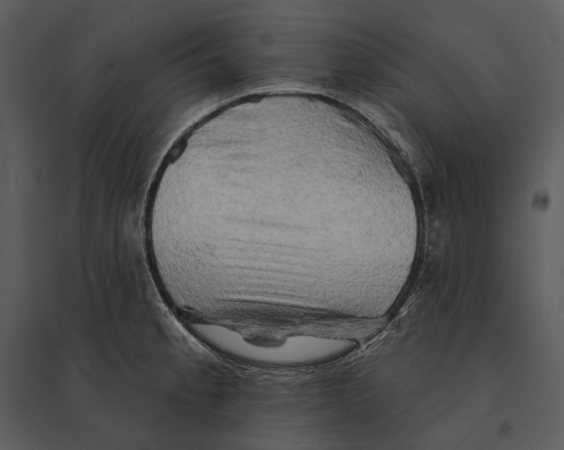 X0000095511189200801041153