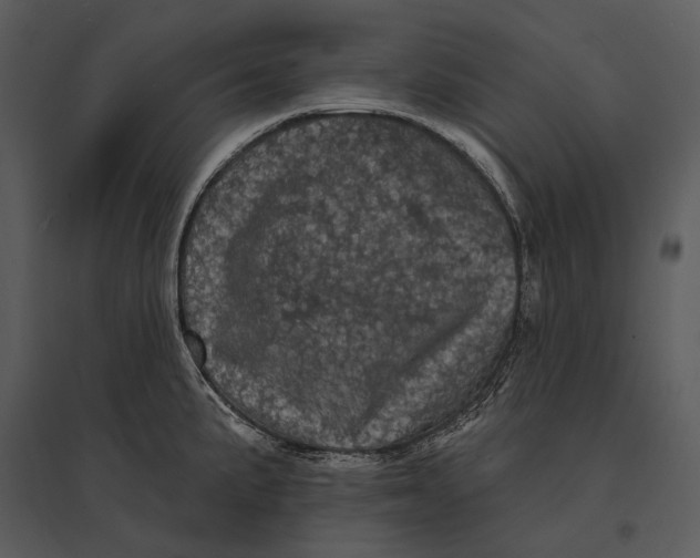 X0000095511191200801041153