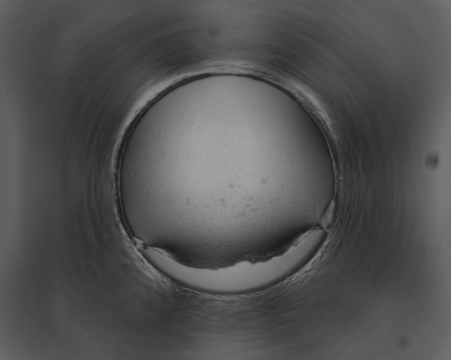 X0000095511192200801041153