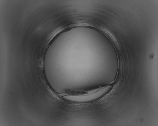 X0000095511193200801041153