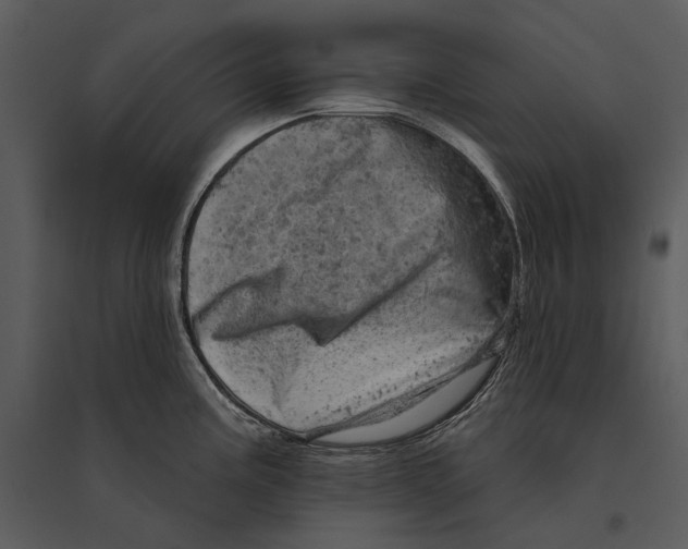 X0000095511195200801041153