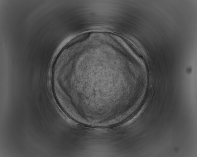 X0000095511196200801041153
