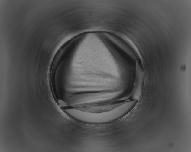 X0000095511197200801041153