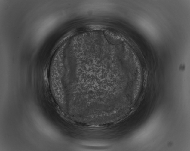 X0000095511198200801041153