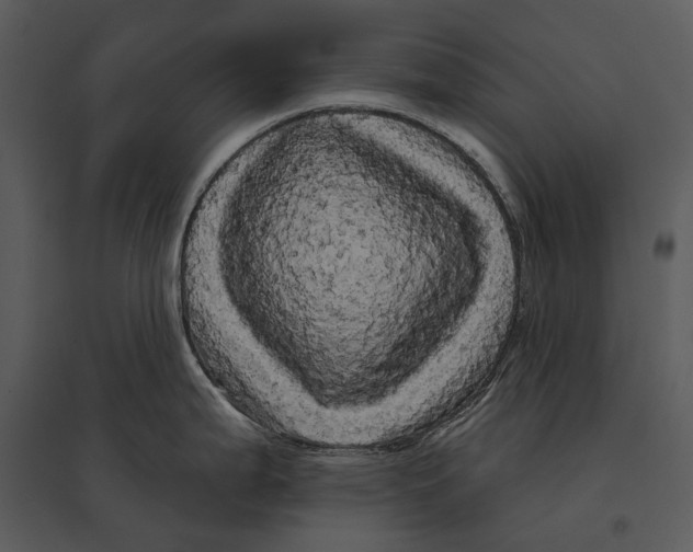 X0000095511199200801041153