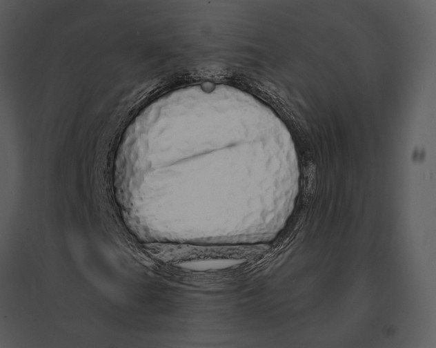 X0000095511201200801041152
