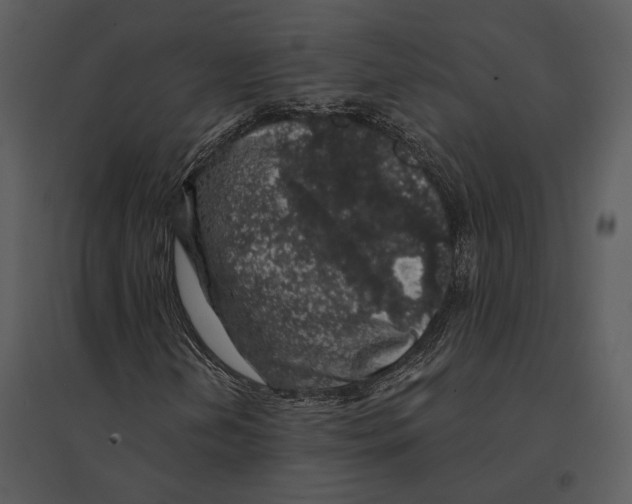 X0000095511202200801041152