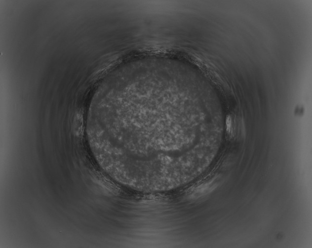 X0000095511203200801041152