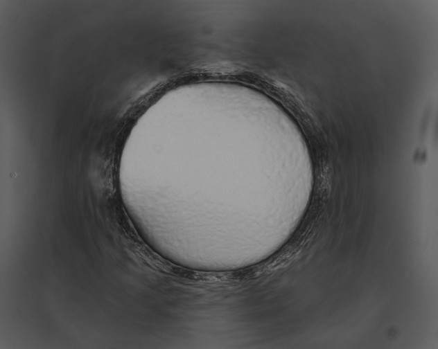 X0000095511205200801041152
