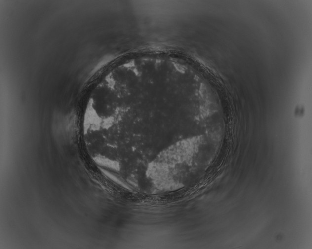 X0000095511206200801041152