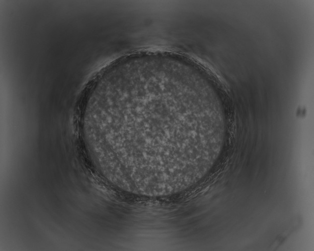 X0000095511207200801041152
