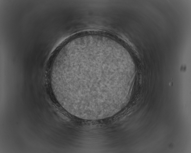 X0000095511208200801041152