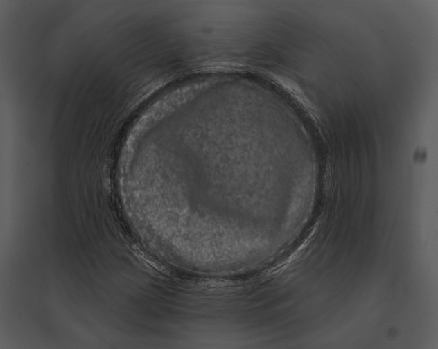 X0000095511209200801041152