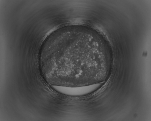 X0000095511210200801041152