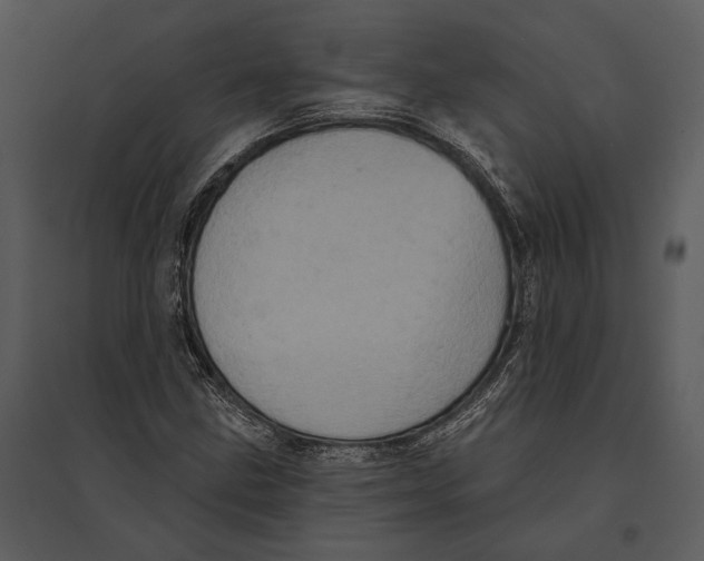 X0000095511211200801041152