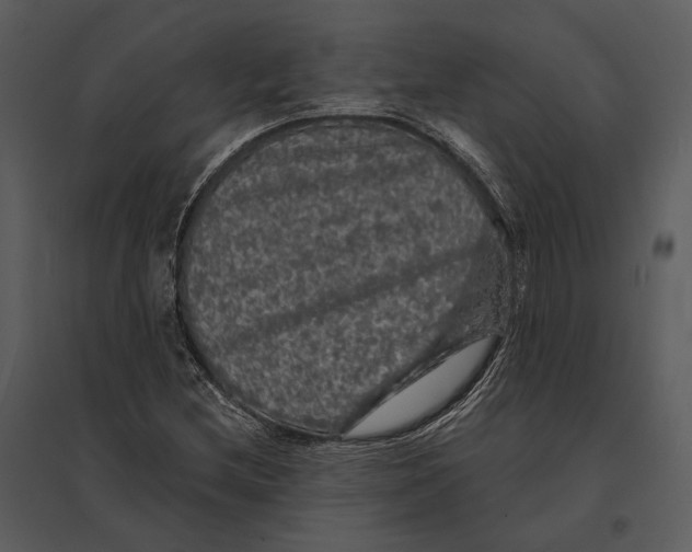 X0000095511212200801041152