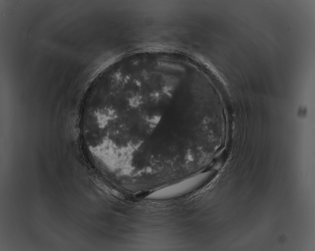 X0000095511213200801041152
