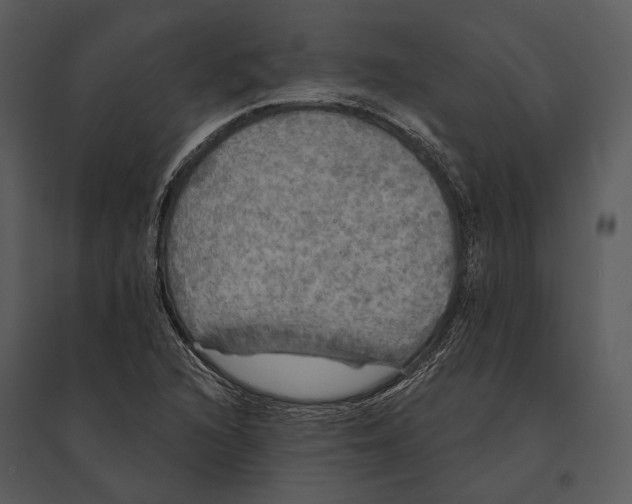 X0000095511216200801041152