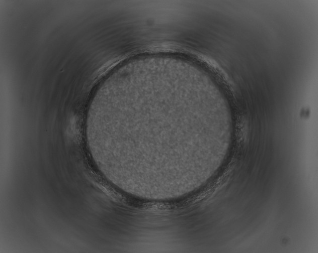 X0000095511217200801041152