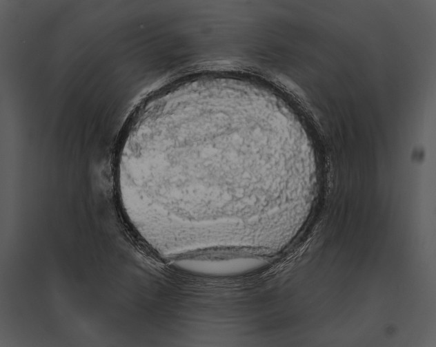 X0000095511218200801041152