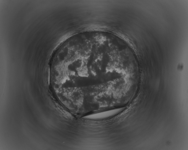 X0000095511219200801041152
